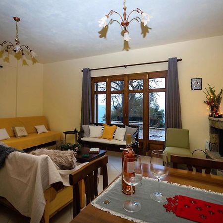 Meli Apartments Arachova Exteriör bild